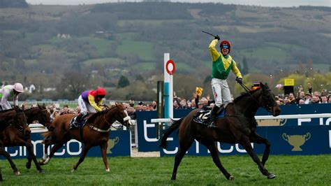 2017 cheltenham gold cup